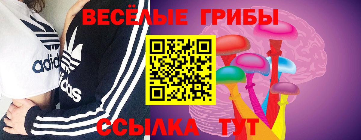 Псилоцибиновые грибы Cubensis Воркута
